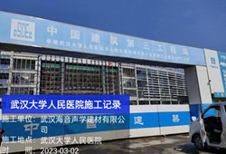 武汉大学人民医院